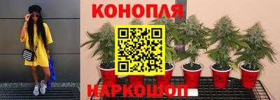 не бодяженный Пугачёв