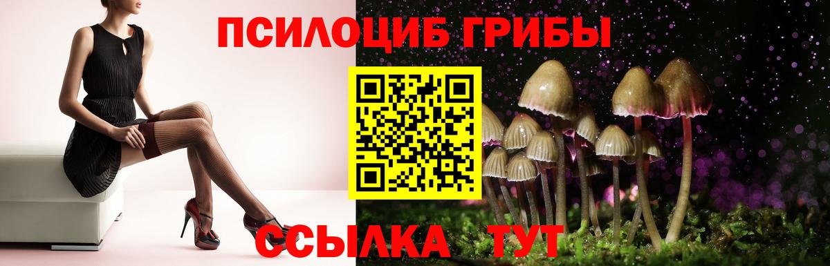 Галлюциногенные грибы мухоморы Смоленск